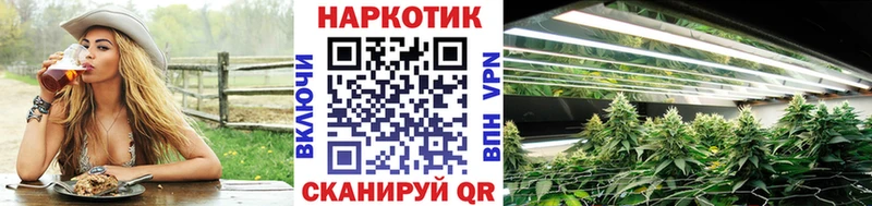 Купить наркотик аптеки Троицк Бошки Шишки  Альфа ПВП  Бутират  Гашиш  МЕФ  КОКАИН 