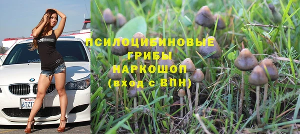 дурь Заводоуковск