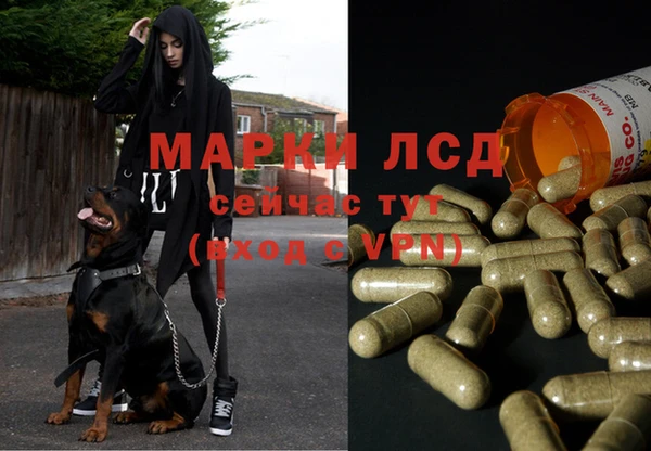 скорость Зеленокумск
