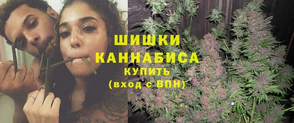 дурь Заводоуковск