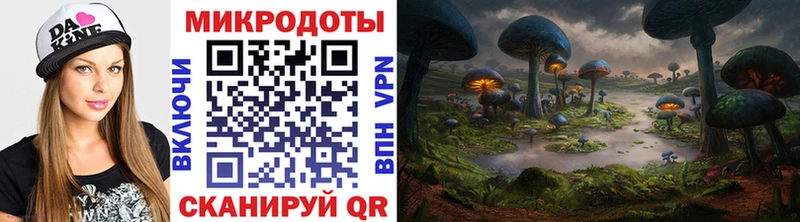 блэк спрут ТОР Троицк Псилоцибиновые грибы MAGIC MUSHROOMS